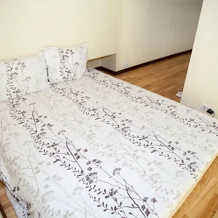Didzioji Street Mezzanine Aparment شقة فيلنيوس
