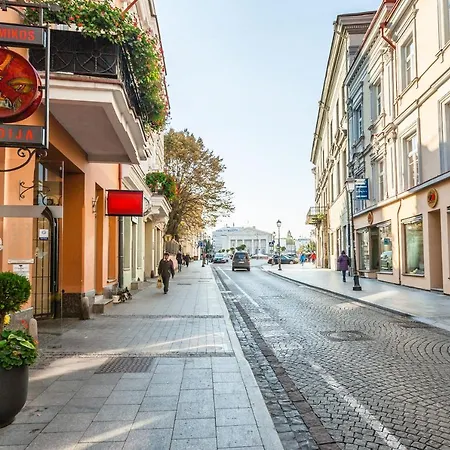 Didzioji Street Mezzanine Aparment Vilnius